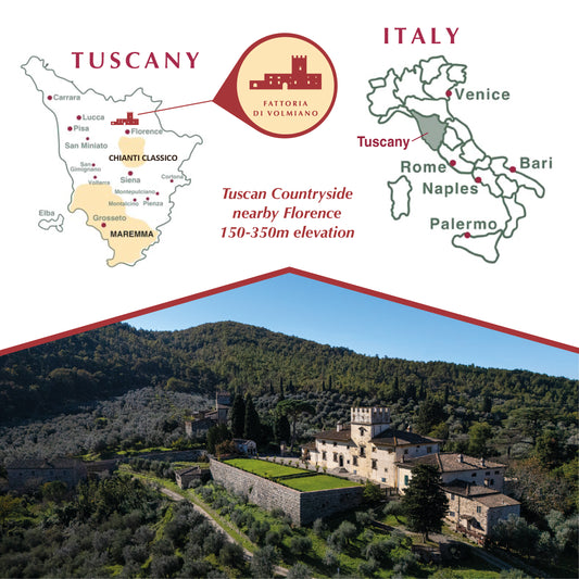 Laudemio Volmiano +900 mg/kg (2025-2026 Harvest) Polyphenols-Rich Tuscany Organic Extra Virgin Olive Oil, 16.9 fl oz (Pack Of 1)